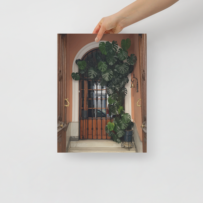 Monstera on a Meditteranean Door