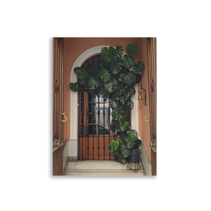 Monstera on a Meditteranean Door