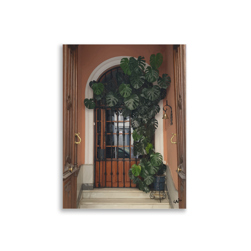 Monstera on a Meditteranean Door Poster 30x40 cm