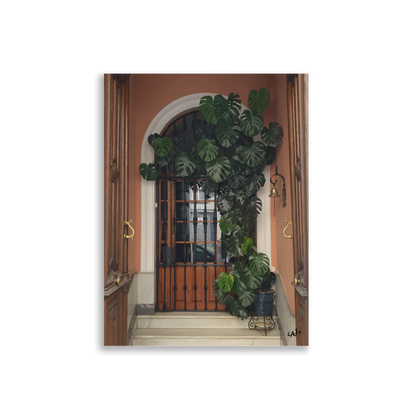 Monstera on a Meditteranean Door Poster 30x40 cm